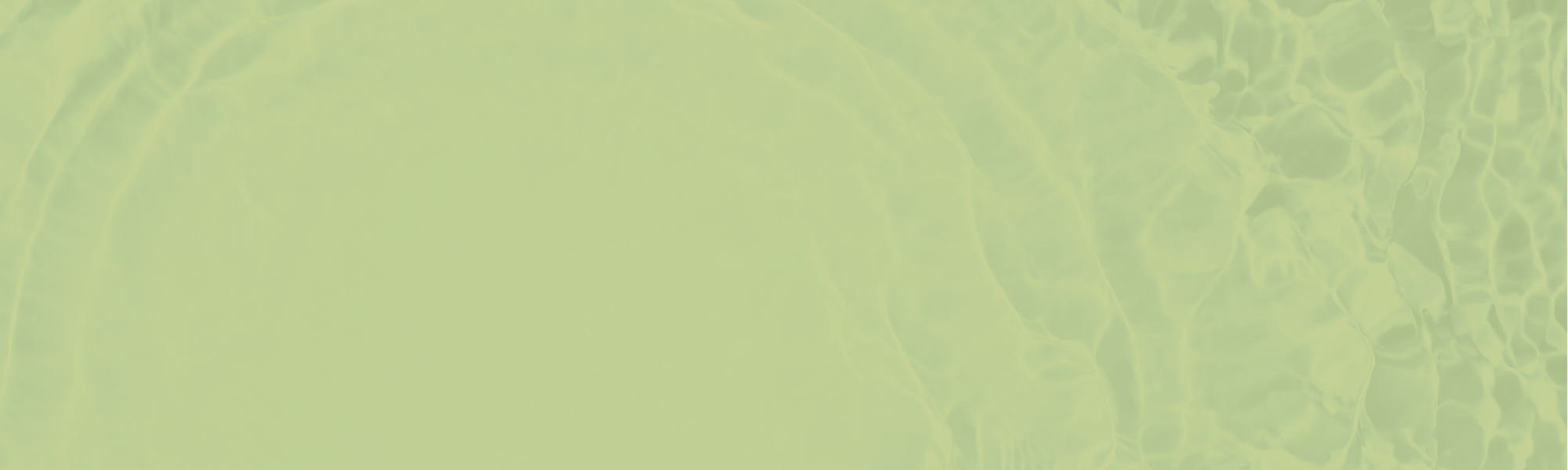 Relief Hydrating Serum: Soothe, Hydrate, and Strengthen Your Skin Barrier